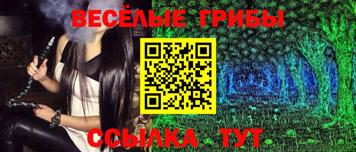 Галлюциногенные грибы прущие грибы Электрогорск