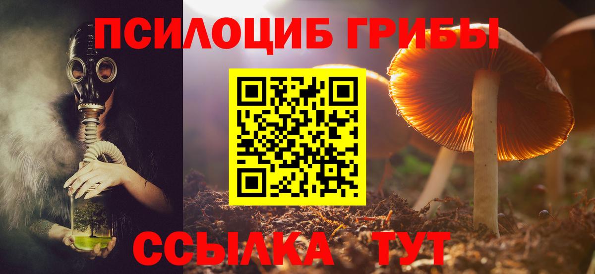 Псилоцибиновые грибы ЛСД  Вход с VPN  Электрогорск 